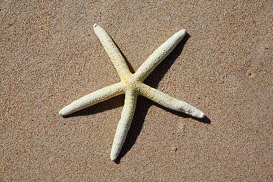 战略RPG《交叉之尾》7＆20登陆各大平台